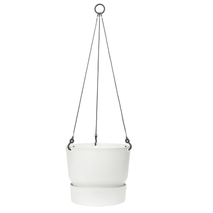 greenville hanging basket 24cm white